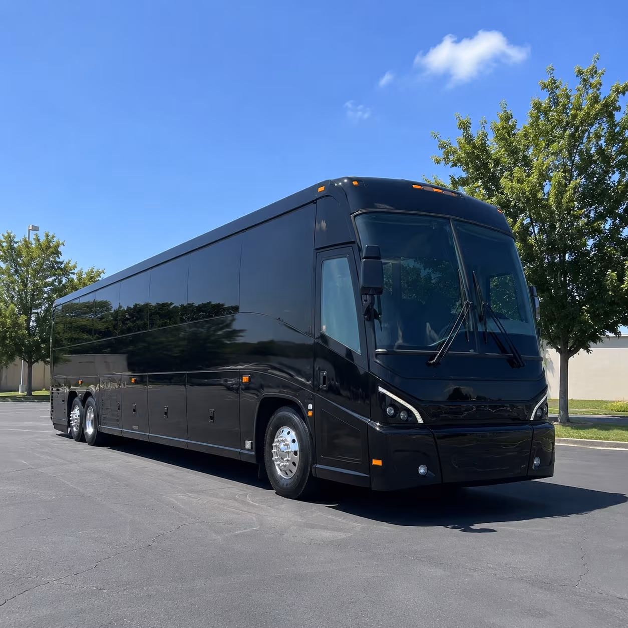castle rock 56 passenger charter bus